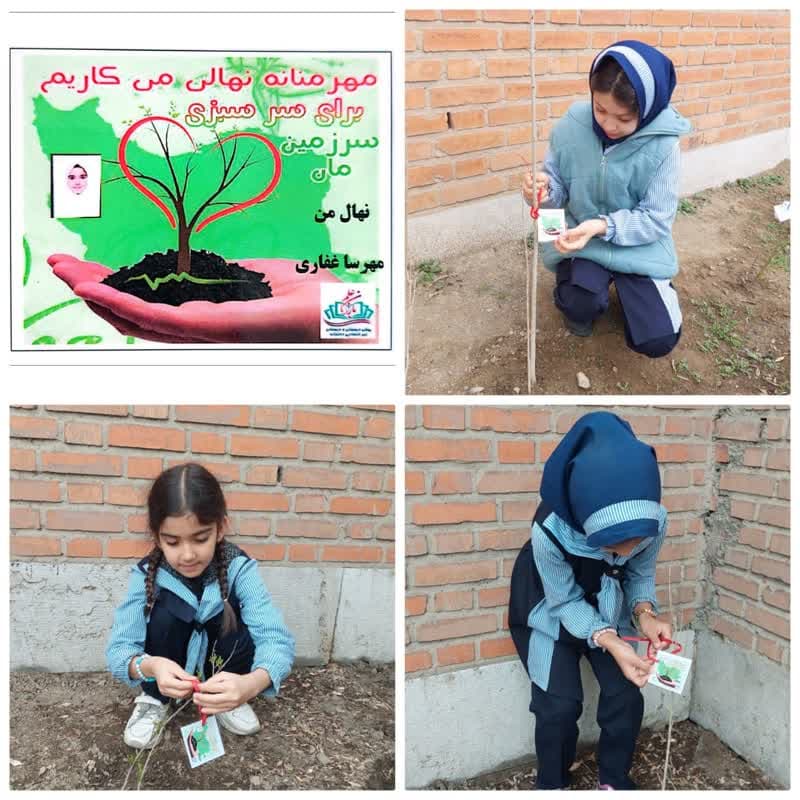 مهرمنانه نهالی می کاریم برای سرسبزی سرزمین مان