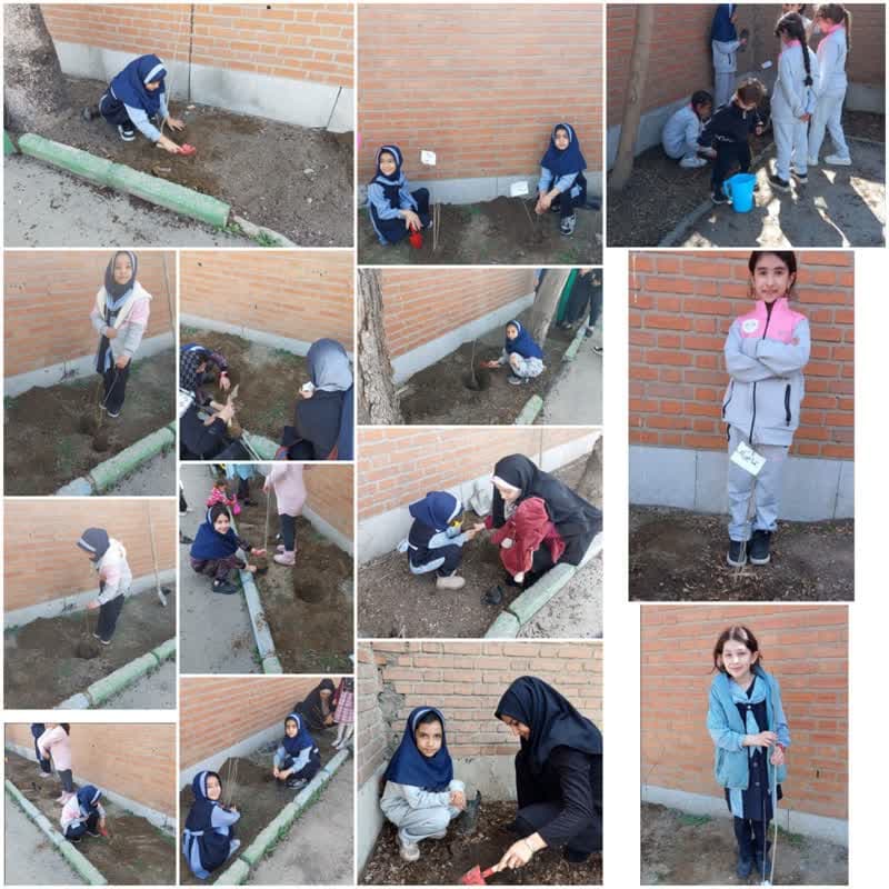 مهرمنانه نهالی می کاریم برای سرسبزی سرزمین مان
